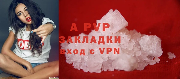 spice Кулебаки