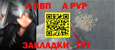 спиды Донской