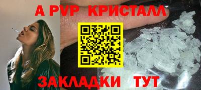 спиды Донской